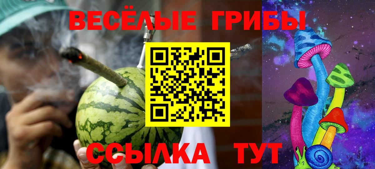Людиново  Псилоцибиновые грибы Magic Shrooms  Галлюциногенные грибы ЛСД  Вход с VPN 